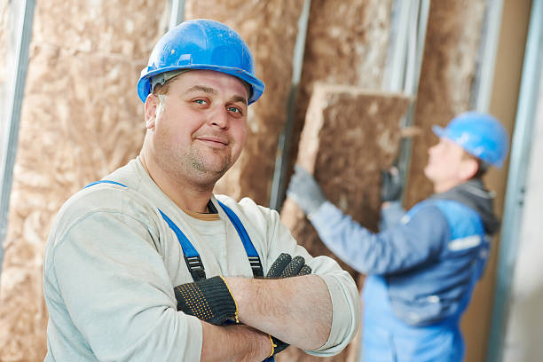 Best Attic Insulation Installation  in Burleson, TX